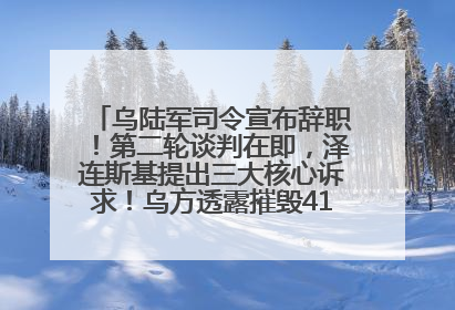 乌陆军司令宣布辞职！第二轮谈判在即，泽连斯基提出三大核心诉求！乌方透露摧毁41架俄战略轰炸机