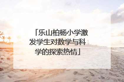 乐山柏杨小学激发学生对数学与科学的探索热情