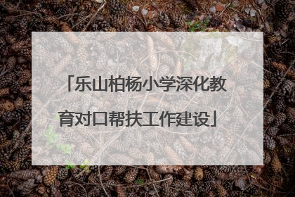 乐山柏杨小学深化教育对口帮扶工作建设