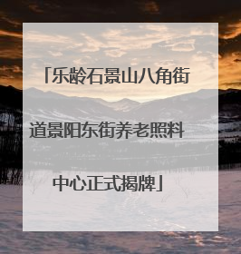 乐龄石景山八角街道景阳东街养老照料中心正式揭牌