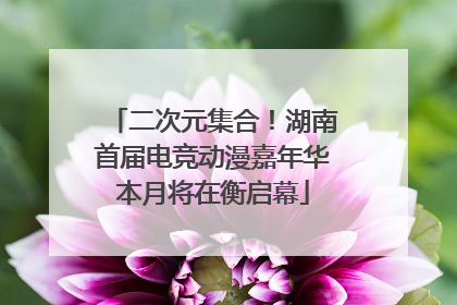 二次元集合！湖南首届电竞动漫嘉年华本月将在衡启幕