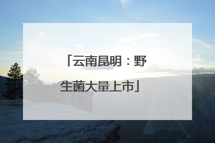 云南昆明：野生菌大量上市