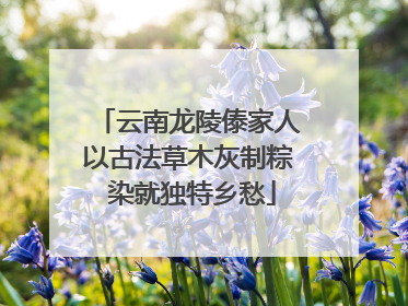 云南龙陵傣家人以古法草木灰制粽 染就独特乡愁