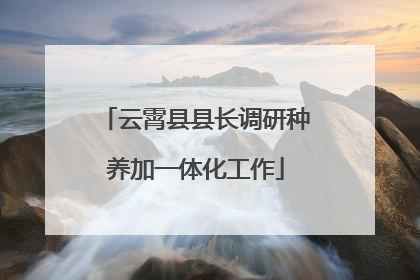 云霄县县长调研种养加一体化工作