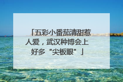 五彩小番茄清甜惹人爱，武汉种博会上好多“尖板眼”