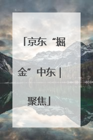 京东“掘金”中东｜聚焦