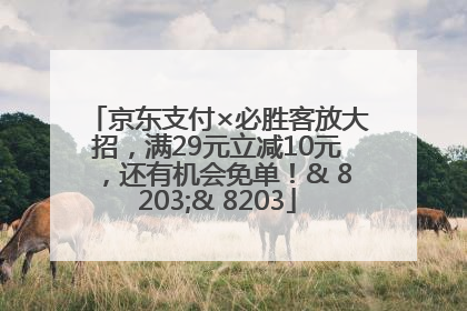 京东支付×必胜客放大招，满29元立减10元，还有机会免单！& 8203;& 8203