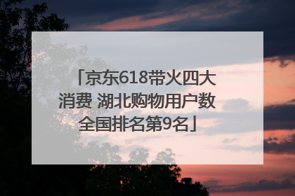 京东618带火四大消费 湖北购物用户数全国排名第9名