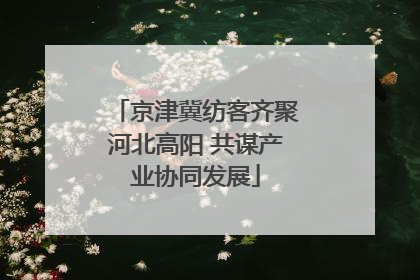 京津冀纺客齐聚河北高阳 共谋产业协同发展