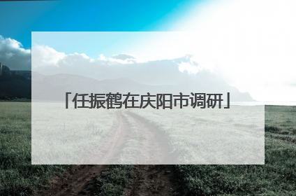 任振鹤在庆阳市调研
