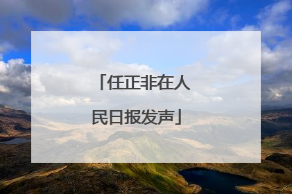 任正非在人民日报发声