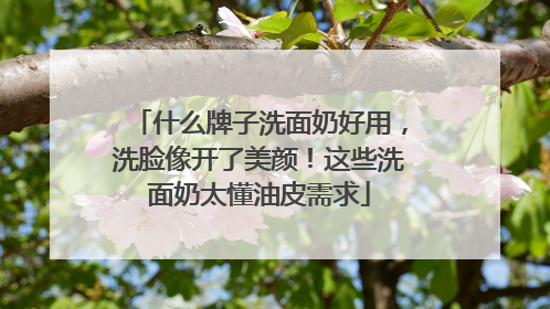 什么牌子洗面奶好用，洗脸像开了美颜！这些洗面奶太懂油皮需求