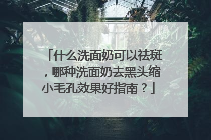 什么洗面奶可以祛斑，哪种洗面奶去黑头缩小毛孔效果好指南？