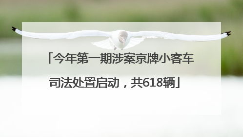 今年第一期涉案京牌小客车司法处置启动，共618辆