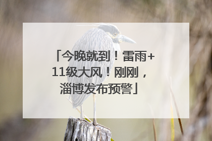 今晚就到！雷雨+11级大风！刚刚，淄博发布预警