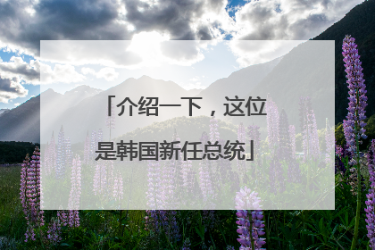 介绍一下，这位是韩国新任总统