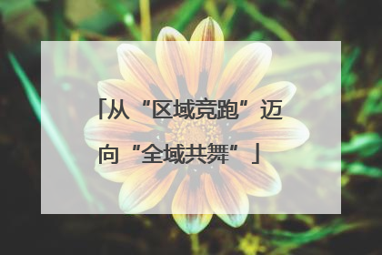 从“区域竞跑”迈向“全域共舞”