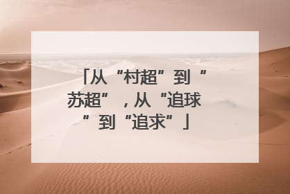从“村超”到“苏超”，从“追球”到“追求”