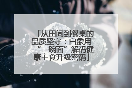 从田间到餐桌的品质坚守：白象用“一碗面”解码健康主食升级密码