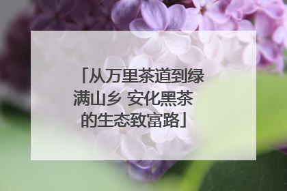 从万里茶道到绿满山乡 安化黑茶的生态致富路