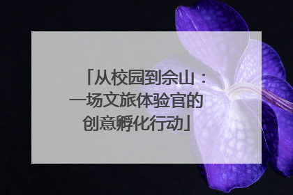 从校园到佘山：一场文旅体验官的创意孵化行动