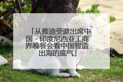 从雅迪受邀出席中国－印度尼西亚工商界晚餐会看中国智造出海的底气