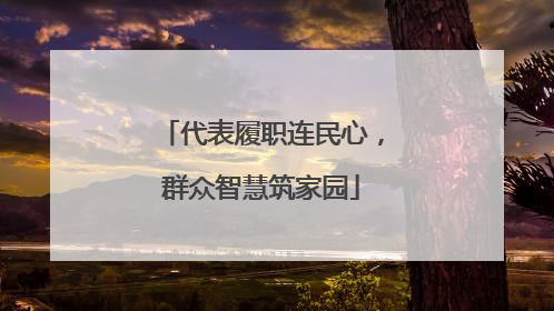 代表履职连民心，群众智慧筑家园