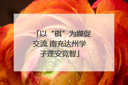以“棋”为媒促交流 南充达州学子蓬安竞智