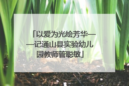 以爱为光绘芳华——记通山县实验幼儿园教师管聪敏