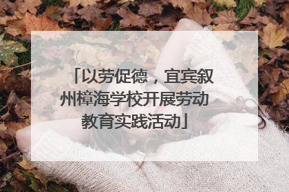 以劳促德，宜宾叙州樟海学校开展劳动教育实践活动