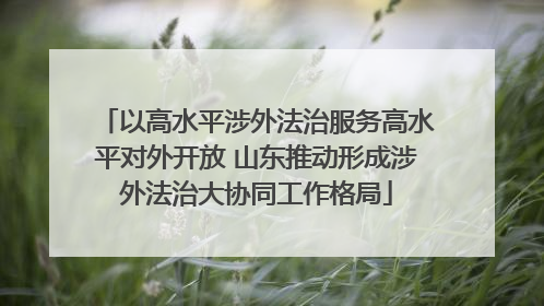 以高水平涉外法治服务高水平对外开放 山东推动形成涉外法治大协同工作格局