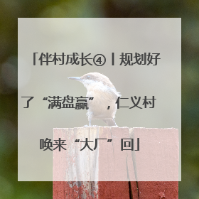 伴村成长④丨规划好了“满盘赢”，仁义村唤来“大厂”回