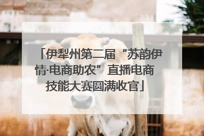 伊犁州第二届“苏韵伊情·电商助农”直播电商技能大赛圆满收官