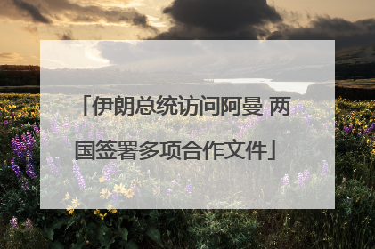 伊朗总统访问阿曼 两国签署多项合作文件