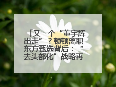 又一个“董宇辉出走”？顿顿离职东方甄选背后：“去头部化”战略再遭考验