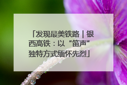 发现最美铁路｜银西高铁：以“笛声”独特方式缅怀先烈