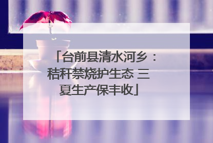 台前县清水河乡：秸秆禁烧护生态 三夏生产保丰收