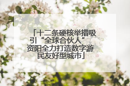 十二条硬核举措吸引“全球合伙人” 资阳全力打造数字游民友好型城市