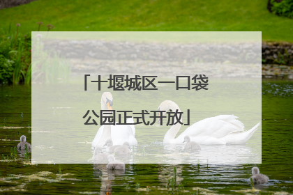 十堰城区一口袋公园正式开放