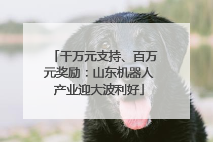千万元支持、百万元奖励：山东机器人产业迎大波利好