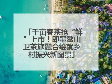 千亩春茶抢“鲜”上市！即墨鳌山卫茶旅融合绘就乡村振兴新图景