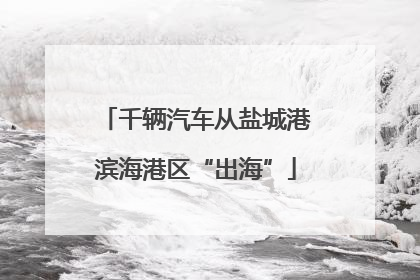 千辆汽车从盐城港滨海港区“出海”