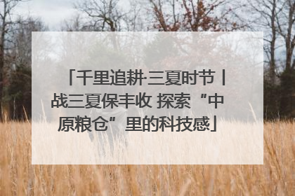 千里追耕·三夏时节丨战三夏保丰收 探索“中原粮仓”里的科技感