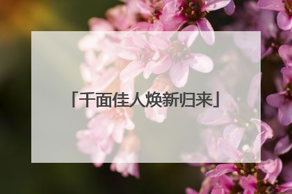 千面佳人焕新归来