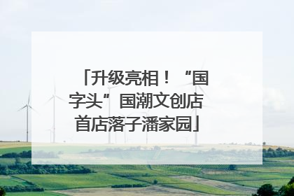 升级亮相！“国字头”国潮文创店首店落子潘家园