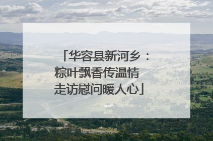 华容县新河乡：粽叶飘香传温情 走访慰问暖人心