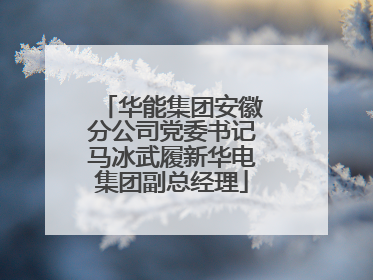 华能集团安徽分公司党委书记马冰武履新华电集团副总经理