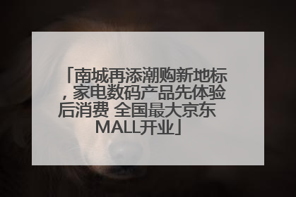 南城再添潮购新地标，家电数码产品先体验后消费 全国最大京东MALL开业