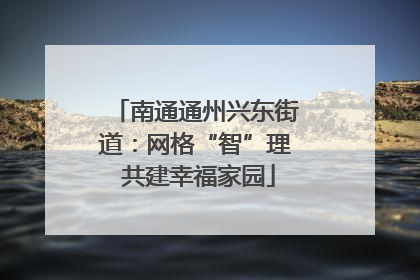 南通通州兴东街道：网格“智”理 共建幸福家园