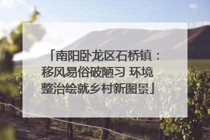 南阳卧龙区石桥镇：移风易俗破陋习 环境整治绘就乡村新图景